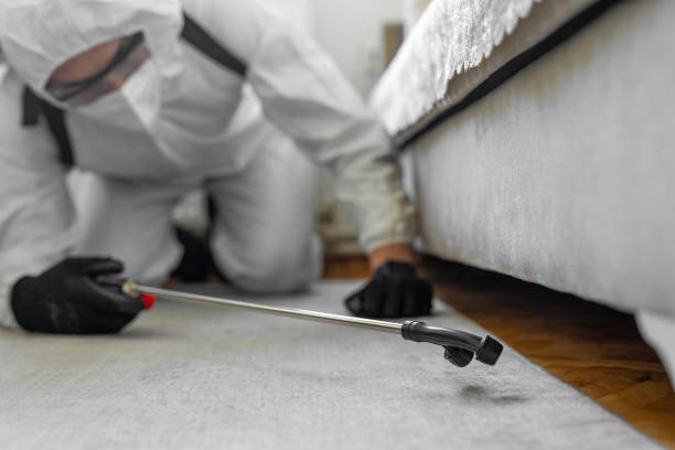 Professional Bed Bug Control technician working in Albion, MI