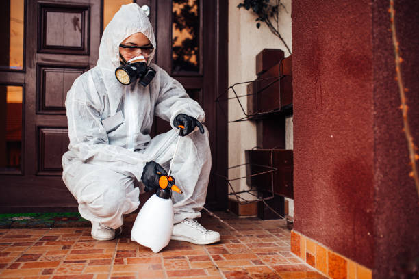 Reliable Bed Bug Control contractor in Albion, MI by Nex Pest Control