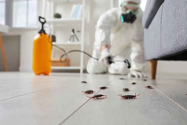 Trusted Mosquito Control service in Albion, MI - Nex Pest Control