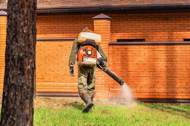 Trusted Cockroach Control service in Albion, MI - Nex Pest Control